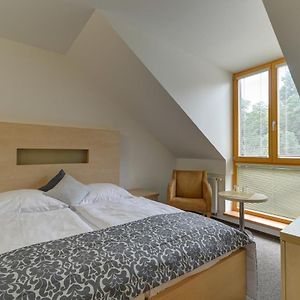 Suite mit 1 Schlafzimmer und mit Kingsize-Bett